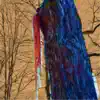 Shivering Maple Sheds Frozen Tears - Single album lyrics, reviews, download