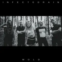 Mold - Single by Infected Rain album reviews, ratings, credits