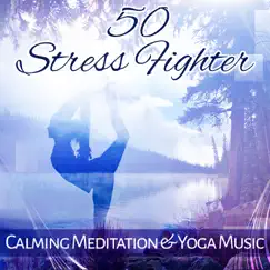 50 Stress Fighter: Calming Meditation & Yoga Music, Inner Peace, Chakra Balancing by Anti Stress Music Zone album reviews, ratings, credits