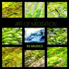 The Art of Meditation: 50 Musics - Zen Garden Meditation Music & Soothing Sleep Sounds for Relaxation, Mindfulness Therapy and Healing Sleep by Relaxing Mindfulness Meditation Relaxation Maestro album reviews, ratings, credits