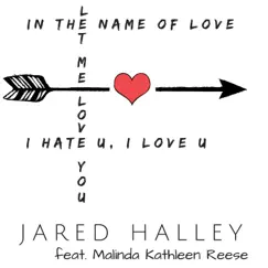In the Name of Love / i hate u, i love u / Let Me Love You (feat. Malinda Kathleen Reese) Song Lyrics