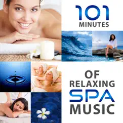 101 Minutes of Relaxing Spa Music by Serenity Music Zone album reviews, ratings, credits