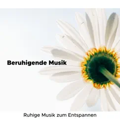 Beruhigende Musik - Ruhige Musik zum Entspannen by Namasté Waheguru album reviews, ratings, credits