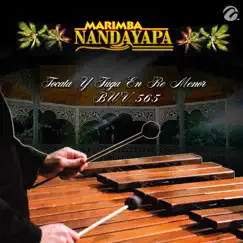 Tocata Y Fuga En Re Menor BWV 565 - Single by Marimba Nandayapa album reviews, ratings, credits