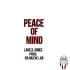 Peace of Mind (feat. Randyl Mauldin, Shawn  B, Eric Burton & Ashley Soto) - Single album lyrics, reviews, download