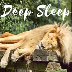 Deep Sleep Aid Brainwave Entrainment Meditation Treat Insomnia with Nature Sounds - Isochronic Tones Binaural Beats by Complete Brainwave Therapy System album reviews, ratings, credits