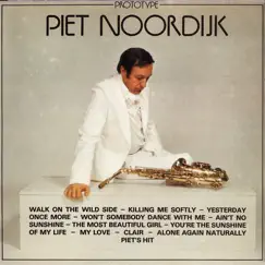 Prototype by Piet Noordijk album reviews, ratings, credits