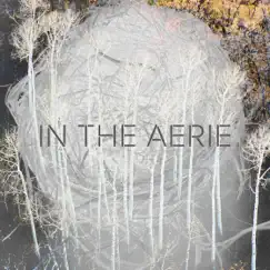 In the Aerie by Golden Fable album reviews, ratings, credits