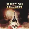 Mean No Harm RMX song lyrics