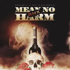 Mean No Harm RMX - Single by Kraziak, Lil Wyte & Kholebeatz album reviews, ratings, credits