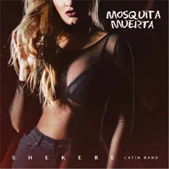 Mosquita Muerta Song Lyrics