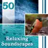50 Relaxing Soundscapes: Natural Ambiences for Yoga, Deep Meditation & Healing, Music for Stress Relief album lyrics, reviews, download