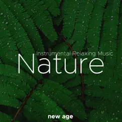 Nature - Nature Sounds with Instrumental Relaxing Music by Yoga Waheguru album reviews, ratings, credits