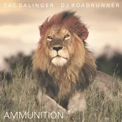 Ammunition - Single by Zac Salinger & DJ Roadrunner album reviews, ratings, credits