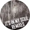 It's In My Soul Remixes album lyrics, reviews, download
