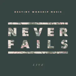 Never Fails (Live) Song Lyrics