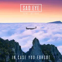 In Case You Forgot (feat. Heyday) - Single by Sad Eye album reviews, ratings, credits