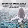 30 Mother Nature Songs: Ambient New Age Music for Relaxation, Buddhist Meditation, Zen Spa & Yoga album lyrics, reviews, download