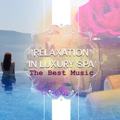 Relaxation in Luxury Spa: The Best Music – Wellness Lounge, Reiki Healing Touch, Massage Room, Relax at Home, Stress Relief by Tranquility Day Spa Music Zone album reviews, ratings, credits