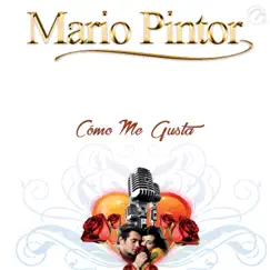 Cómo Me Gusta - Single by Mario Pintor album reviews, ratings, credits