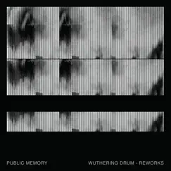 Lunar (The Sight Below Remix) - Single by Public Memory album reviews, ratings, credits
