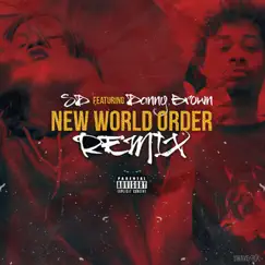 New World Order (Remix) [feat. Danny Brown] - Single by SD album reviews, ratings, credits