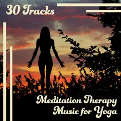 30 Tracks: Meditation Therapy Music for Yoga - Chakra Balancing, Healing Sounds of Nature, Calming Songs of New Age by Yoga Training Music Sounds album reviews, ratings, credits