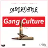 Gang Culture, Vol. 1 album lyrics, reviews, download