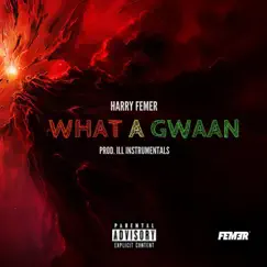 What A Gwaan - Single by Harry Femer album reviews, ratings, credits