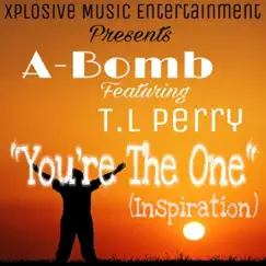 You're the One (Inspiration) [feat. T.L Perry] Song Lyrics