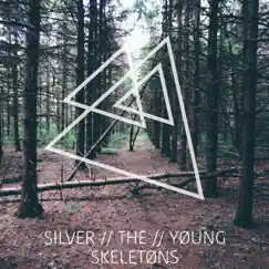 Skeletons - Single by Silver the Young album reviews, ratings, credits