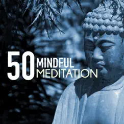 Mindful Meditations Song Lyrics