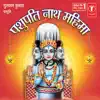 Pashupati Nath Mahima album lyrics, reviews, download