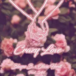 Crazy Love (feat. Olivia Herdt) - Single by Blayne B. album reviews, ratings, credits