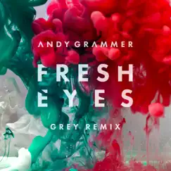 Fresh Eyes (Grey Remix) - Single by Andy Grammer album reviews, ratings, credits