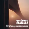 Quiétude profonde - 50 Chansons relaxantes pour yoga, massage, méditation et spa, zen nature, pleine conscience, la sérénité et la paix intérieure album lyrics, reviews, download