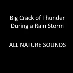 Big Crack of Thunder During a Rain Storm - Single by All Nature Sounds album reviews, ratings, credits