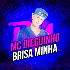 Brisa Minha - Single by MC Dieguinho album reviews, ratings, credits