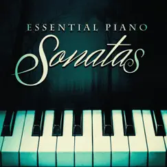 Piano Sonata No. 2 in B-Flat Minor, Op. 36: I. Allegro agitato Song Lyrics