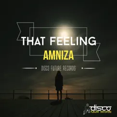 That Feeling - Single by Amniza album reviews, ratings, credits