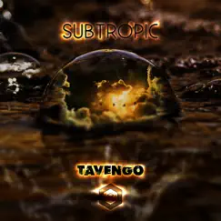 Subtropic - Single by Tavengo album reviews, ratings, credits