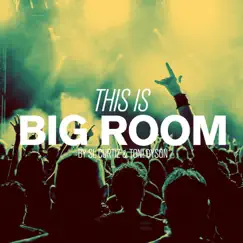 This Is Big Room By SL Curtiz & Ton! Dyson by SL Curtiz & Ton! Dyson album reviews, ratings, credits