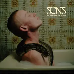 Momentary Bliss - Single by SONS album reviews, ratings, credits