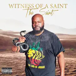 Witness of a Saint by Thasaint album reviews, ratings, credits