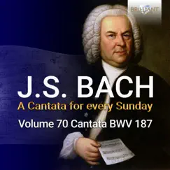 J.S. Bach: Es wartet alles auf dich, BWV 187 by Netherlands Bach Collegium & Pieter Jan Leusink album reviews, ratings, credits