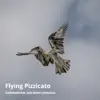 Flying pizzicato - Single album lyrics, reviews, download