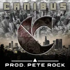 Princibly THIS (feat. Canibus) - Single by Pete Rock album reviews, ratings, credits