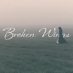 Broken Wings - Single by Dinah Pillion album reviews, ratings, credits
