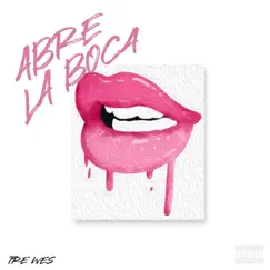 Abre La Boca - Single by Tré Wes album reviews, ratings, credits