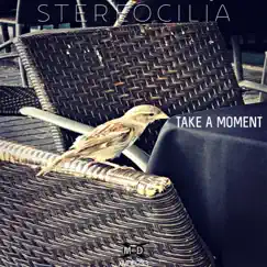 Take a Moment - Single by StereoCilia album reviews, ratings, credits